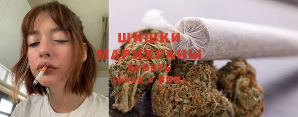 молекула духа Протвино
