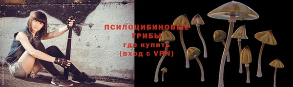ешки Приозерск