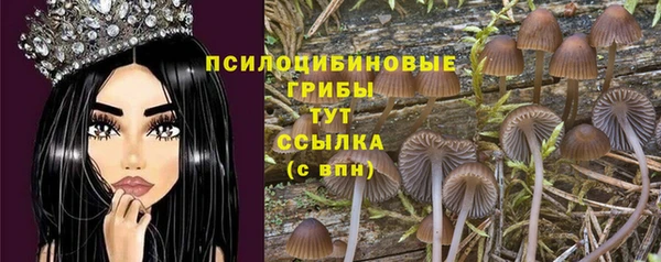 экстази Пролетарск
